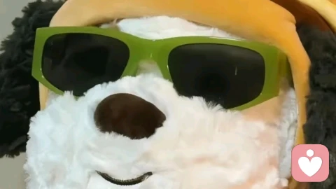 明明他对你越来越不好,你还抓着不放,为啥这么上瘾?