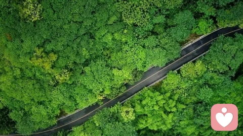 工作是熟悉、没前途,爱人是无感、不放手,我怎么了?