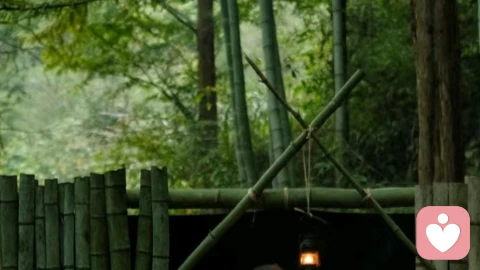 强大国家如何成为我们心灵的庇护所-一种对抗焦虑抑郁的深层力量。