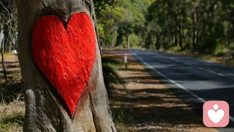 亲子关系中强迫性重复的疗愈。