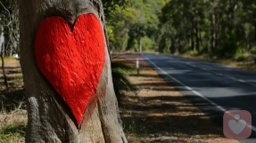 亲子关系中强迫性重复的疗愈。