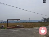 凡事，尽力就好。配图