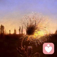 匮乏催生贪婪。

羞辱引发愤怒。

虚荣掩饰空虚。

浮华寻求慰藉。

欲望蒙蔽了理智。

逻辑扼杀激情。

嫉妒会破坏钦佩。

怜悯中暗藏着厌恶。

野心腐蚀了才华。

惊讶意味着天真。

学习承认无知。

愧疚伴随着感激。

谦逊尊重历史。配图