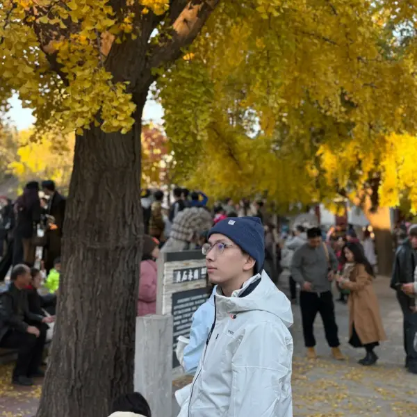 谢杭辛心理专家,谢杭辛心理咨询费用,谢杭辛心理咨询效果怎么样