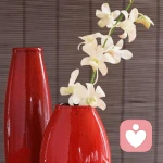 雪染风华的头像