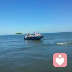 一缕阳光的头像