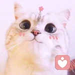 網絡管理員的頭像