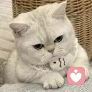 💗ଘ٩一🦋ଲོ爱 დ 调皮༊ღ的头像