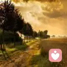 越努力越幸运。的头像