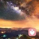 铁树开花的头像