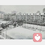 李小桃（nicole)的头像