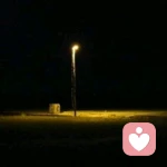 午后阳光下的猫咪的头像