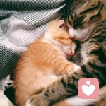 小小小树树树苗苗苗的头像