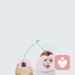 没有光的角落的头像