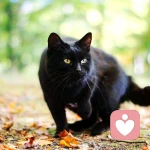 星夜-2009的头像