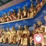 无助的鸟的头像