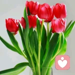 旅途的色彩的头像