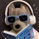 唐浩王づ KOLづ