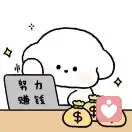 ZY的头像