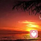 晚霞的柔情的头像