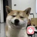 11的头像
