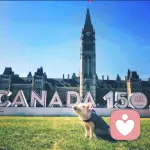 暖心向阳的头像