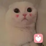 小妹妹的头像