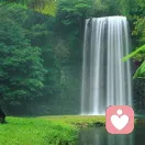 放飞吧！梦想的头像