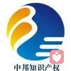 温州中邦知识产权有限公司的头像