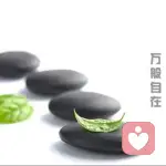 你若不伤~岁月无恙！！！的头像