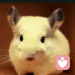 很多人觉得不开心就是抑郁，我觉得不是，需的头像