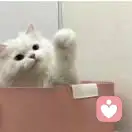 九九倾听的头像