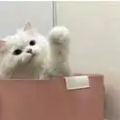 九九倾听