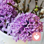 越努力越幸福的头像