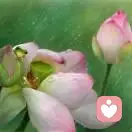 一笑而过的头像