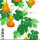 锦钰然