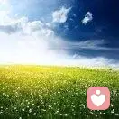 从心开始的头像