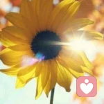 15822030761的头像