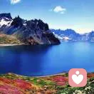 燕阳高赵的头像