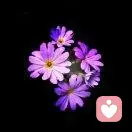 风中竹林的头像