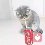 余我心宽、的头像