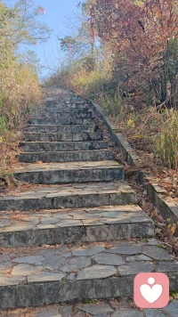 周末去公园露营野餐，晒晒太阳听听歌，和朋友唠嗑玩桌游，慢下来的时光太治愈啦～#周末去哪儿玩 #我的周末生活