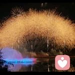 小火花‍🔥的头像