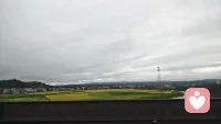 新版