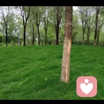。。。的頭像