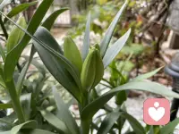 早安今天的心情真不錯配圖