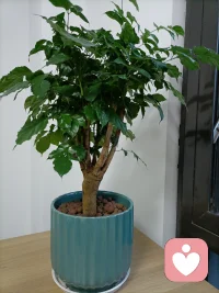 每天都在成長(zhǎng)配圖