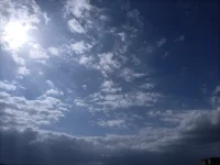 暖陽：我要帶你一起去飛翔……配圖