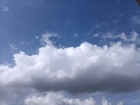 暖陽：我要帶你一起去飛翔……配圖