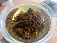 關于命運：一切都是最好的安排……配圖